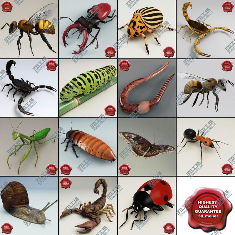 images/goods_img/20210319/Insects Collection V6/1.jpg